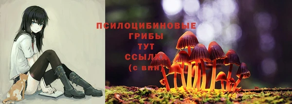 стаф Балабаново
