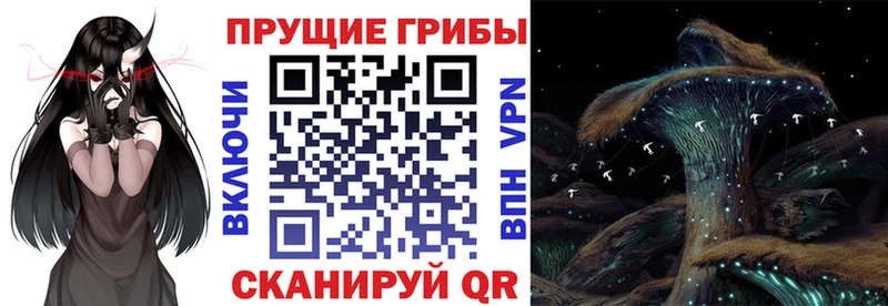 Псилоцибиновые грибы прущие грибы  Власиха 